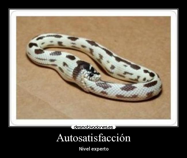 Autosatisfacción - Nivel experto