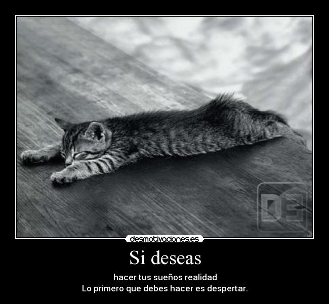 Si deseas -