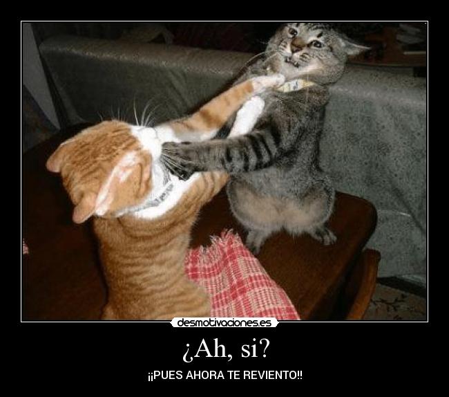 ¿Ah, si? - ¡¡PUES AHORA TE REVIENTO!!