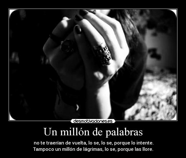 Un millón de palabras - no te traerían de vuelta, lo se, lo se, porque lo intente.
Tampoco un millón de lágrimas, lo se, porque las llore.