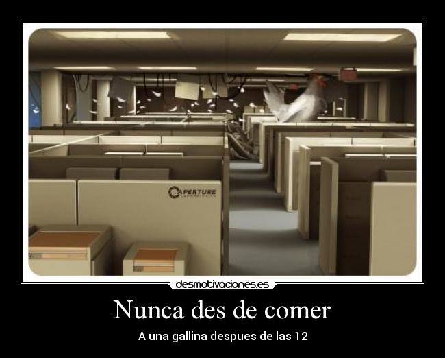 Nunca des de comer - A una gallina despues de las 12