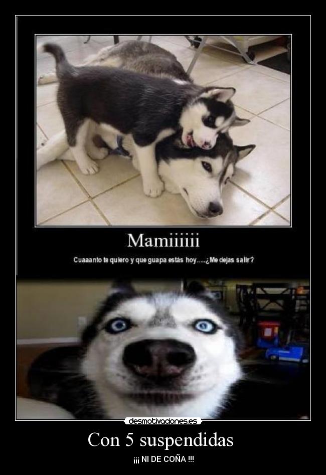 Con 5 suspendidas - ¡¡¡ NI DE COÑA !!!