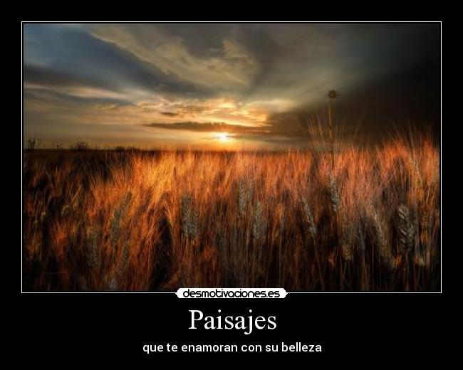 carteles dispot desmotivaciones