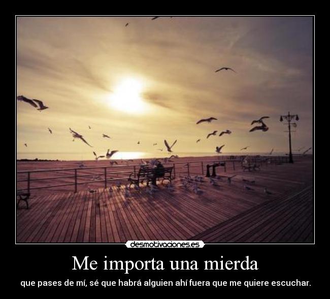 carteles importa una mierda desmotivaciones