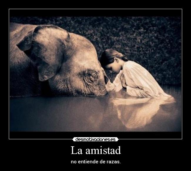 La amistad - 