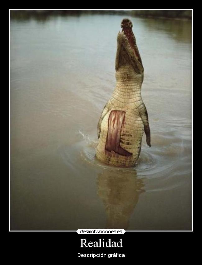 Realidad - Descripción gráfica