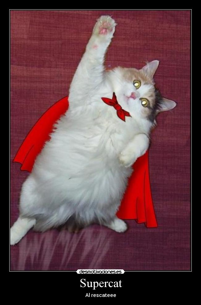 Supercat -