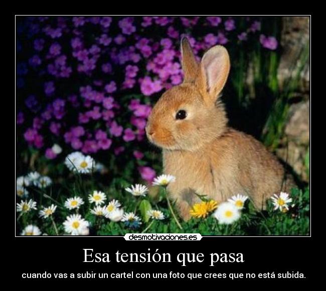 carteles hdhdf2h1d3 desmotivaciones