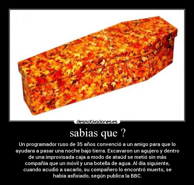 sabias que ? - Un programador ruso de 35 años convenció a un amigo para que lo
ayudara a pasar una noche bajo tierra. Excavaron un agujero y dentro
de una improvisada caja a modo de ataúd se metió sin más
compañía que un móvil y una botella de agua. Al día siguiente,
cuando acudió a sacarlo, su compañero lo encontró muerto, se
había asfixiado, según publica la BBC.