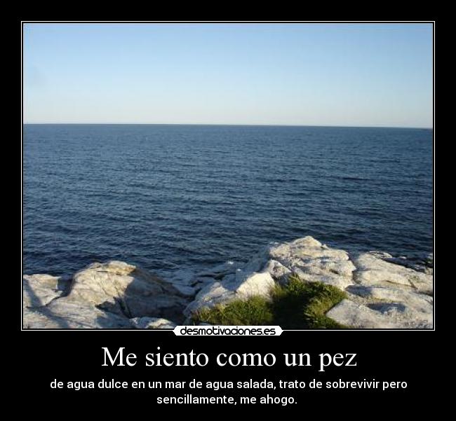 Me siento como un pez -