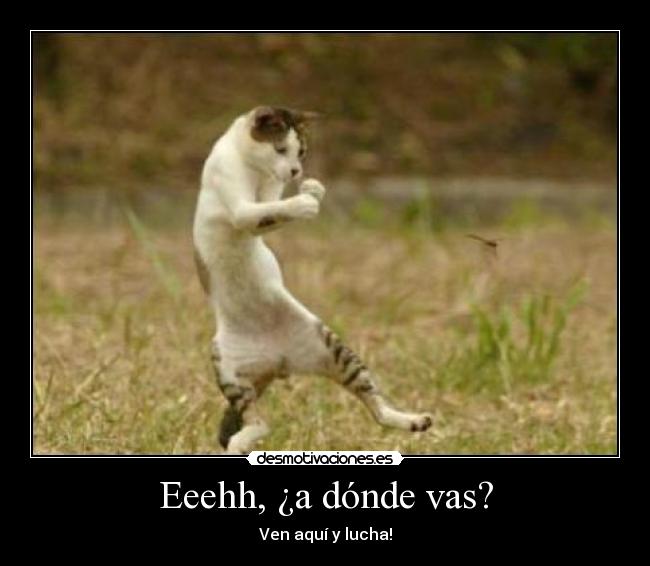 Eeehh, ¿a dónde vas? -