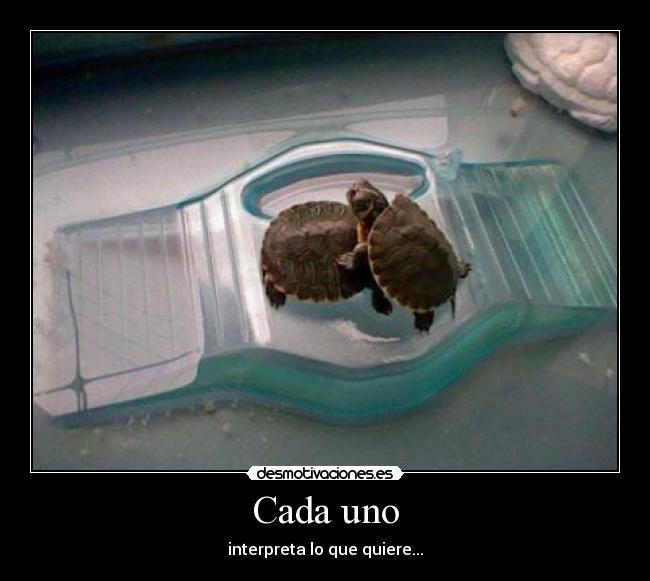Cada uno - interpreta lo que quiere...