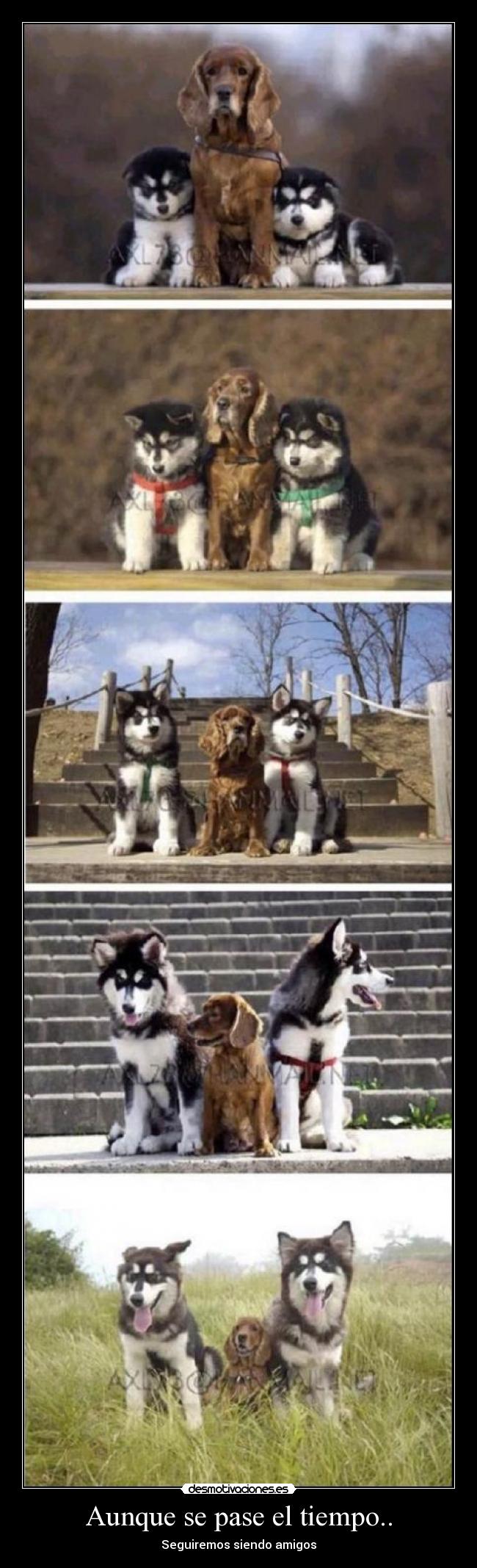 Aunque se pase el tiempo.. - Seguiremos siendo amigos