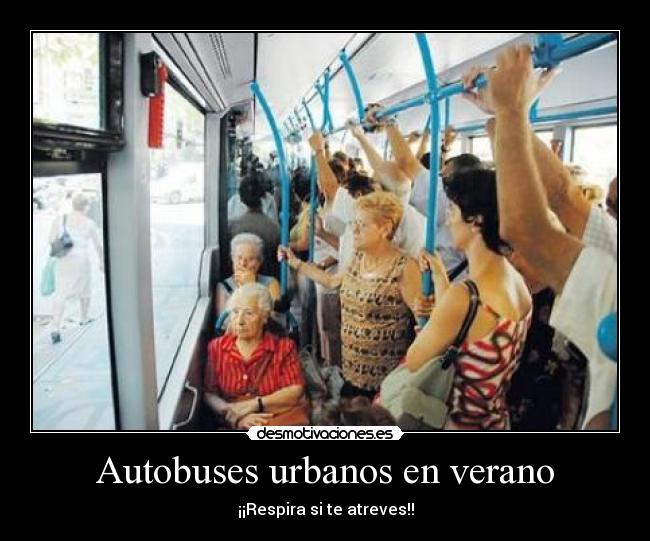 Autobuses urbanos en verano - 