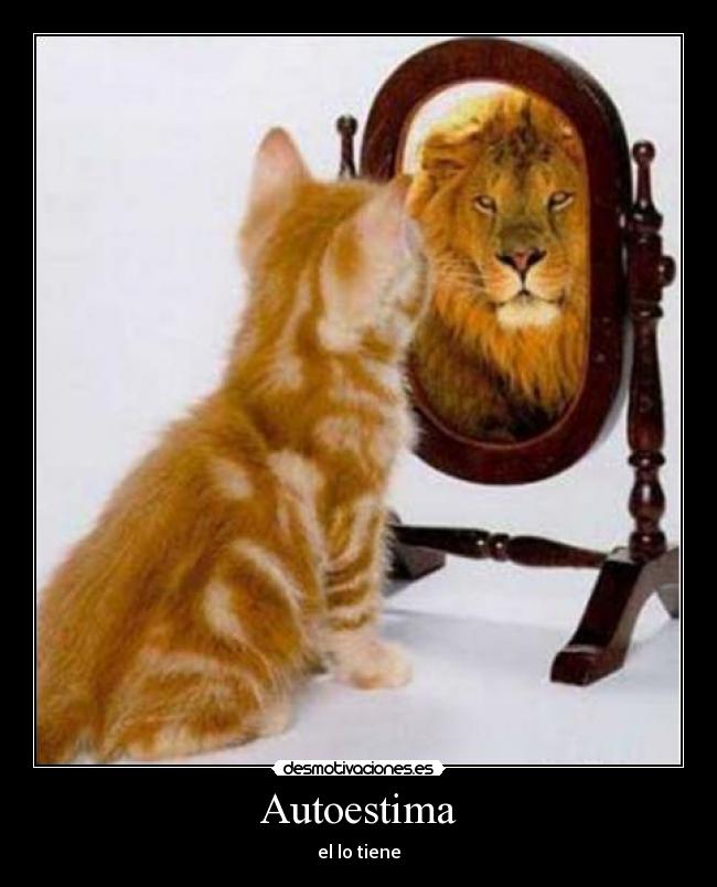 carteles autoestima tiene gatosleon crisma45 espejo mirarse desmotivaciones