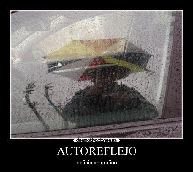 AUTOREFLEJO - definicion grafica