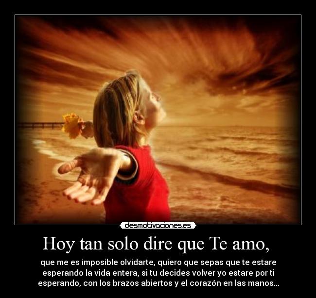 Hoy tan solo dire que Te amo, -