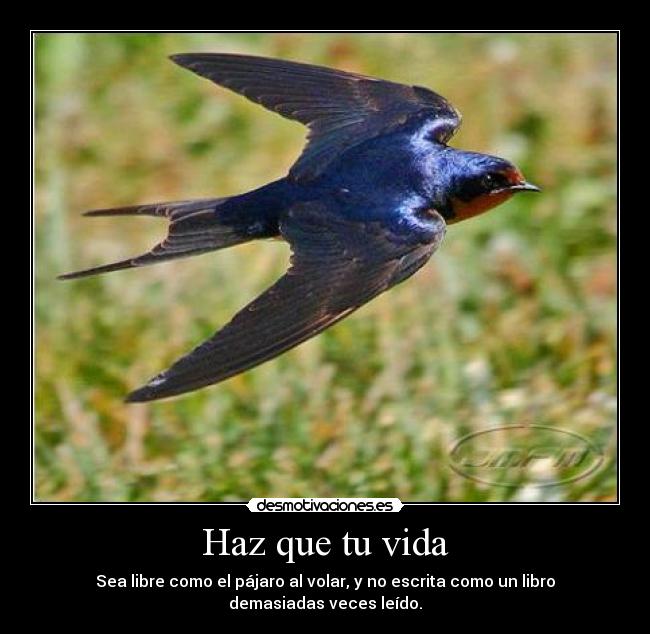 Haz que tu vida -