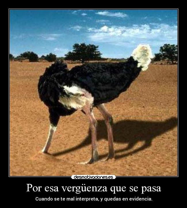 Por esa vergüenza que se pasa - Cuando se te mal interpreta, y quedas en evidencia.