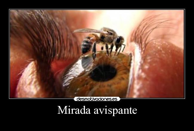 Mirada avispante - 