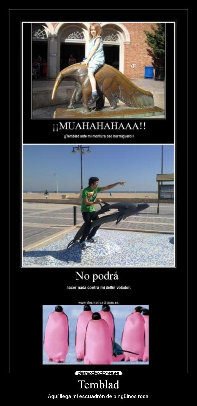 carteles pinguinos desmotivaciones