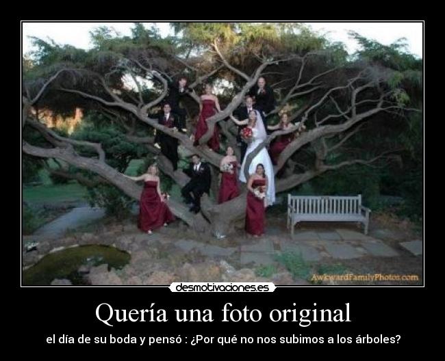 Quería una foto original - 