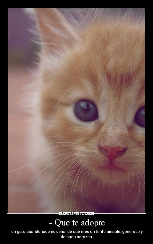 - Que te adopte -