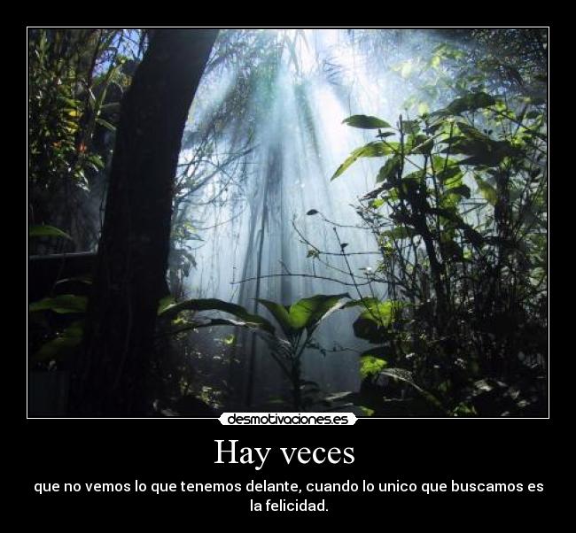 Hay veces  - 