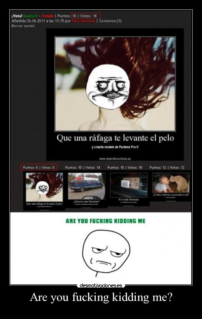 Are you fucking kidding me? - 