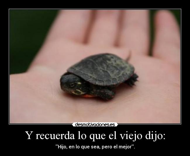 Y recuerda lo que el viejo dijo: -