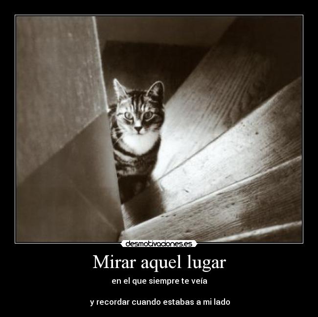 Mirar aquel lugar -