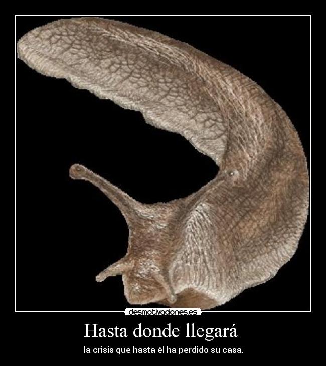 Hasta donde llegará -