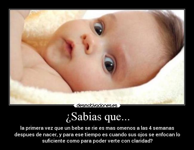 carteles bebes desmotivaciones