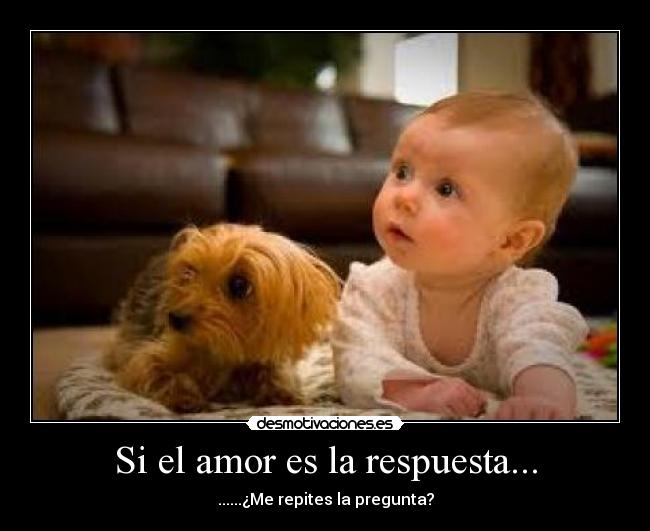 Si el amor es la respuesta... -