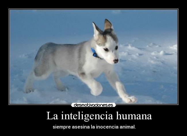     La inteligencia humana - 