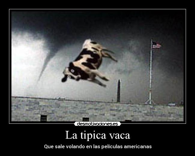 La tipica vaca -