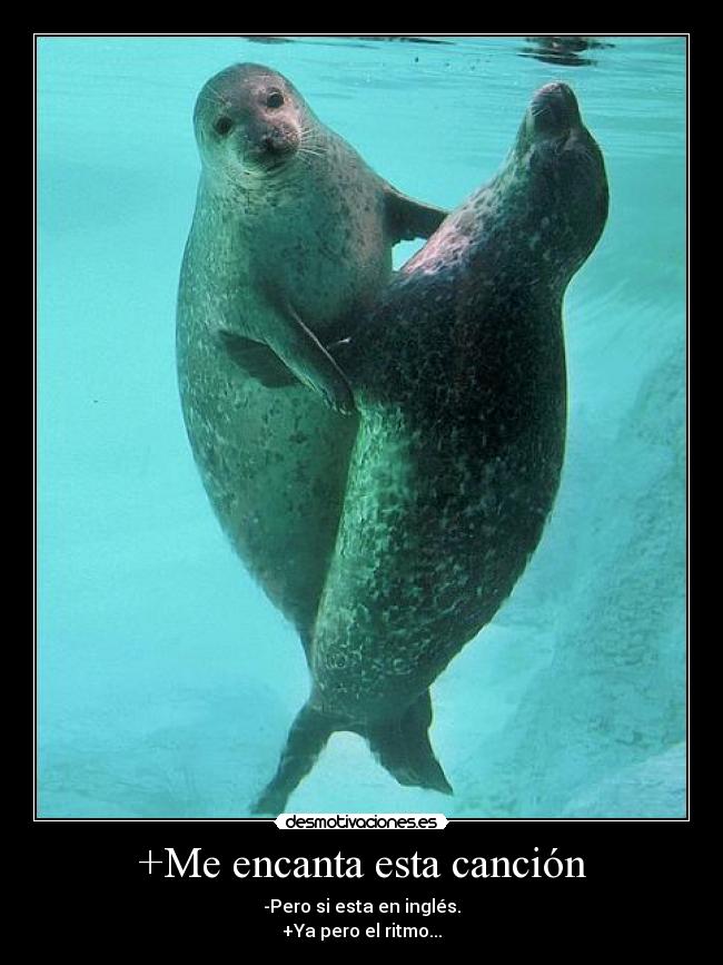 +Me encanta esta canción - 