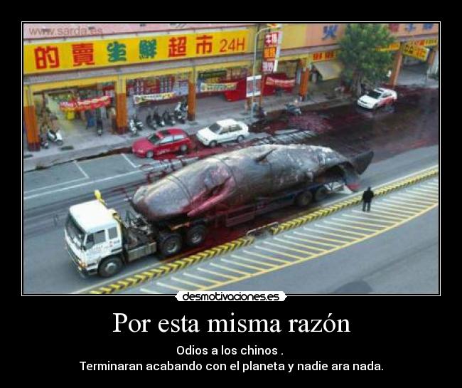 Por esta misma razón -