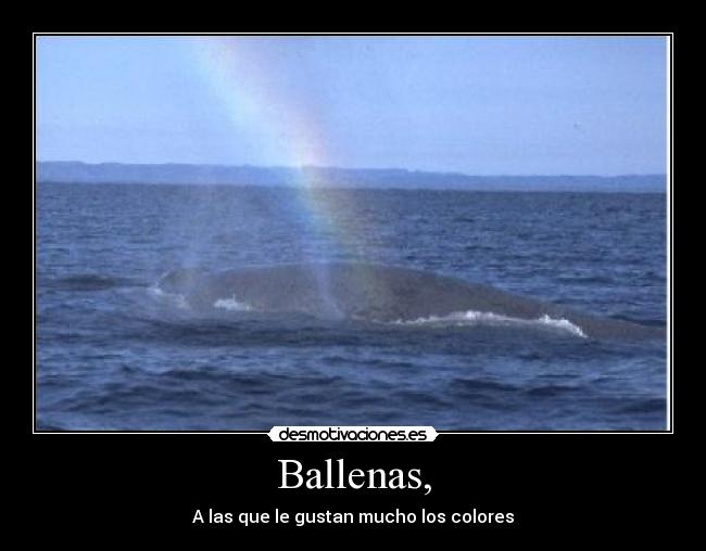 Ballenas, -
