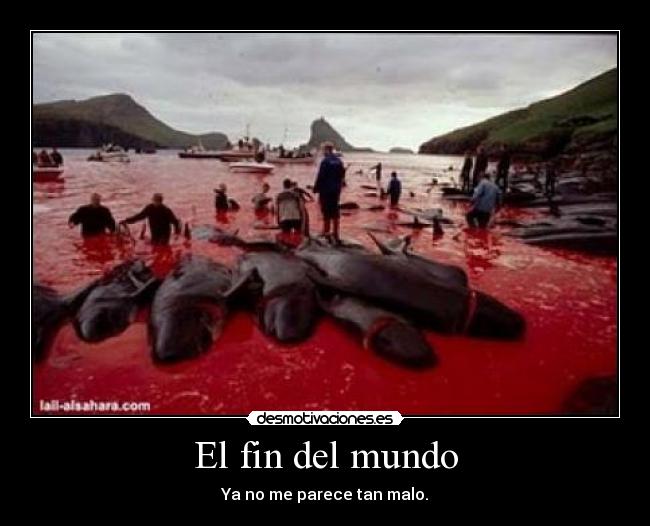 El fin del mundo - Ya no me parece tan malo.