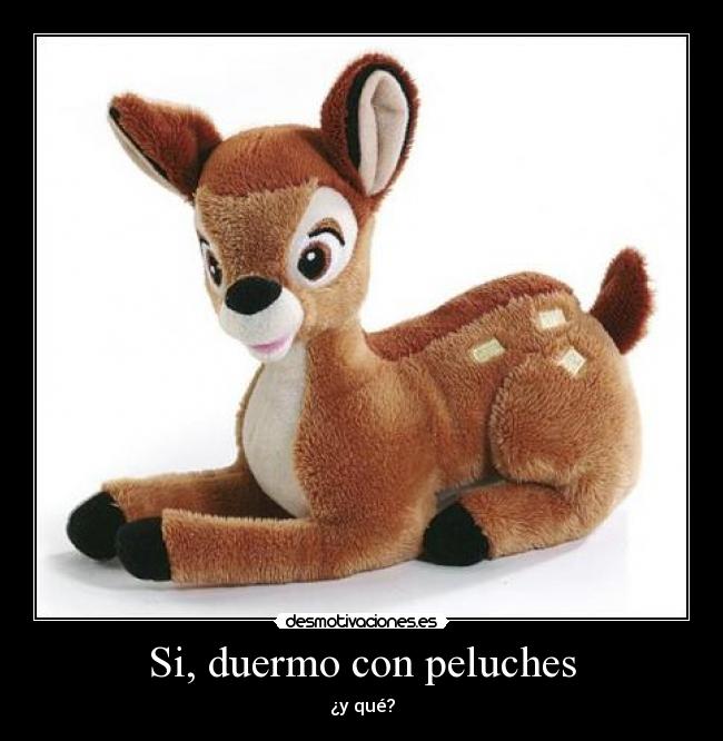 Si, duermo con peluches - 