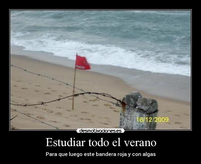 Estudiar todo el verano - Para que luego este bandera roja y con algas