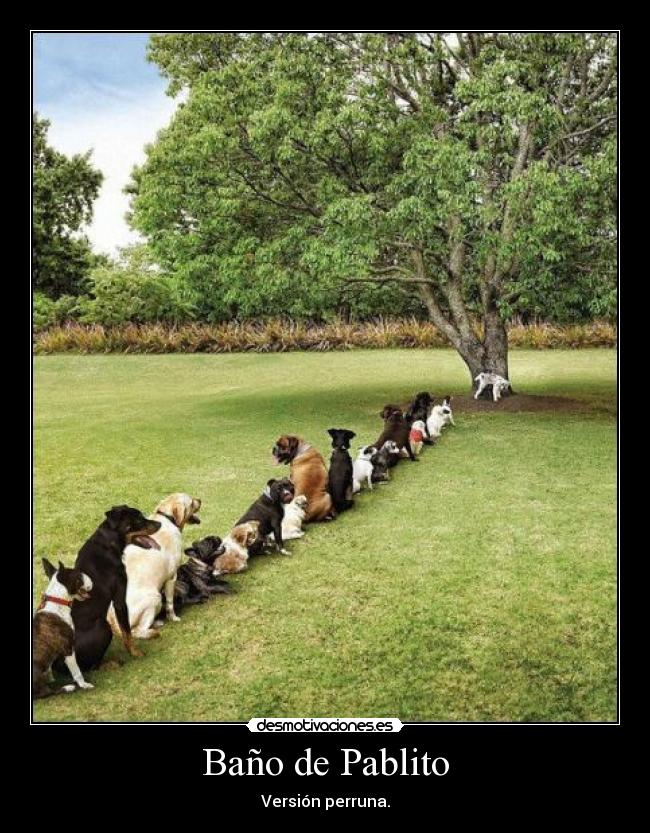 carteles bano pablito mear cagar perros muchos desmotivaciones
