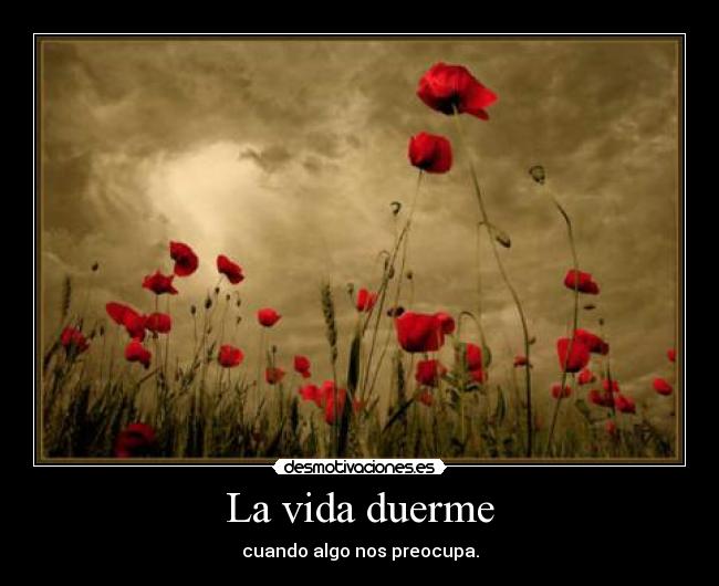 La vida duerme - cuando algo nos preocupa.