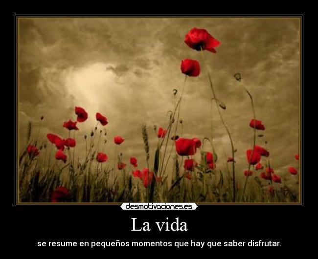 La vida - se resume en pequeños momentos que hay que saber disfrutar.