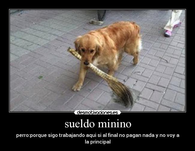 carteles maestropedro desmotivaciones