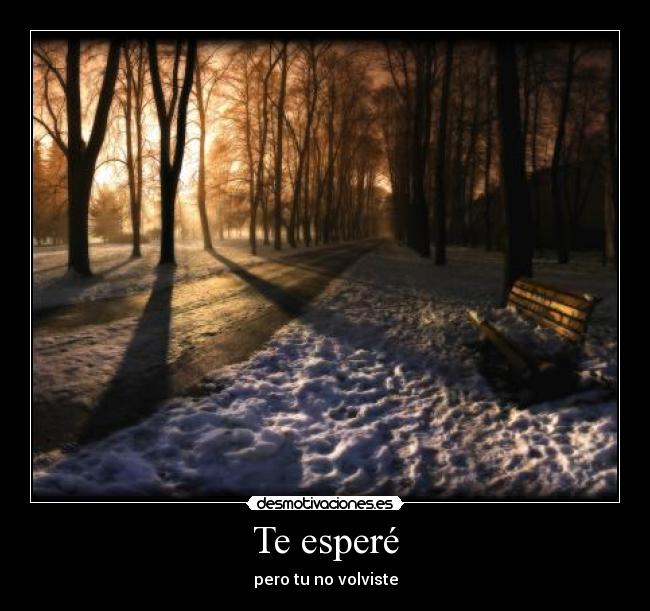 Te esperé -