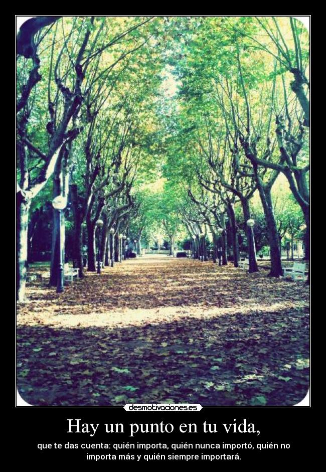 carteles vida vida desmotivaciones