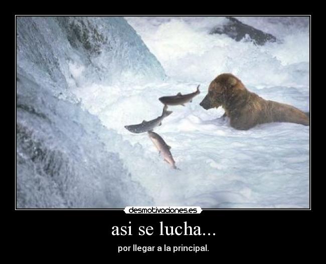 asi se lucha... - por llegar a la principal.