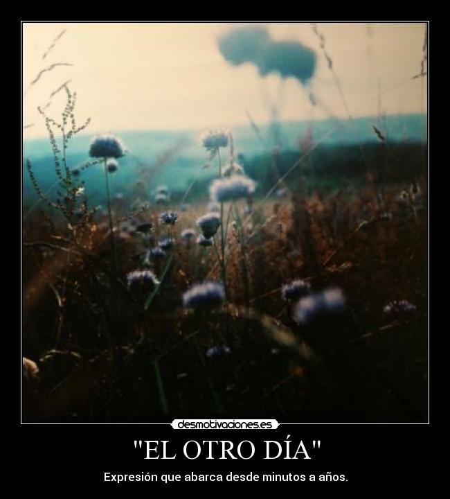 EL OTRO DÍA - Expresión que abarca desde minutos a años.